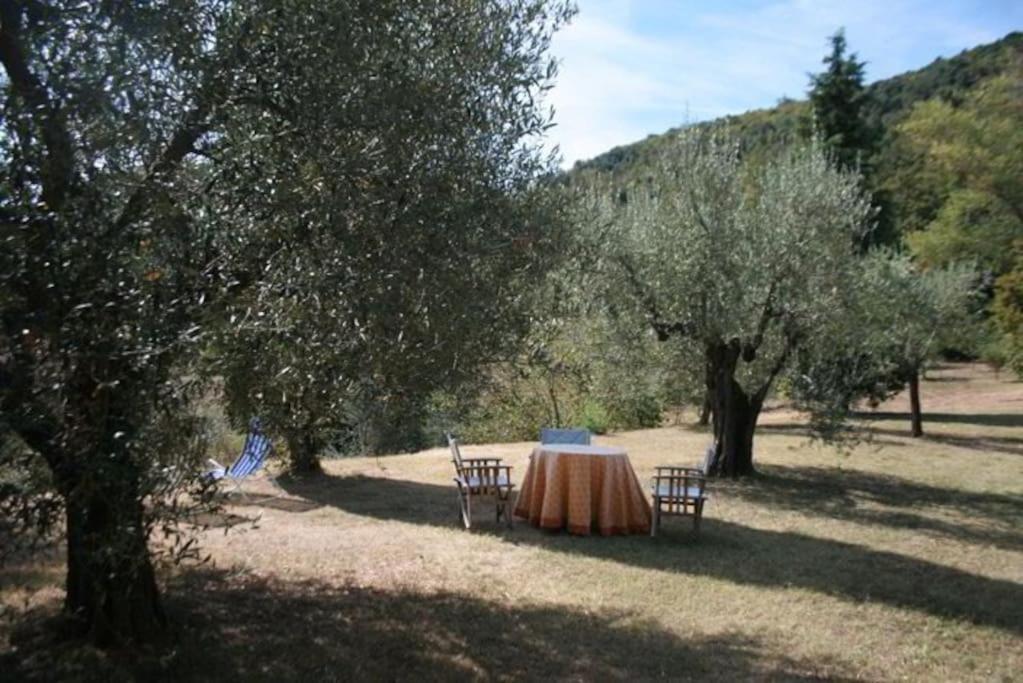 فيلا Podere Gli Oppi Toscana Petroio المظهر الخارجي الصورة